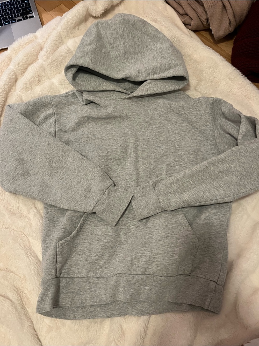 Aritzia boyfriend hoodie